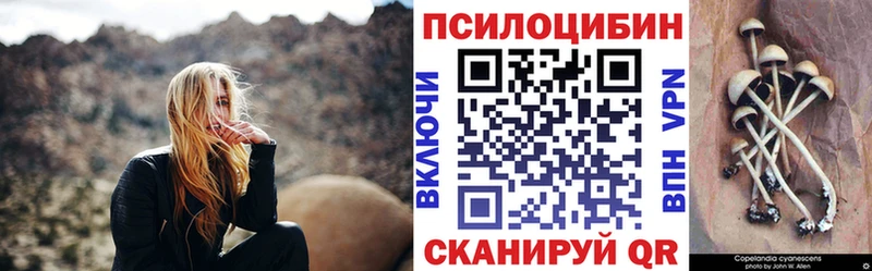 Псилоцибиновые грибы ЛСД  блэк спрут маркетплейс  Луза  как найти закладки 