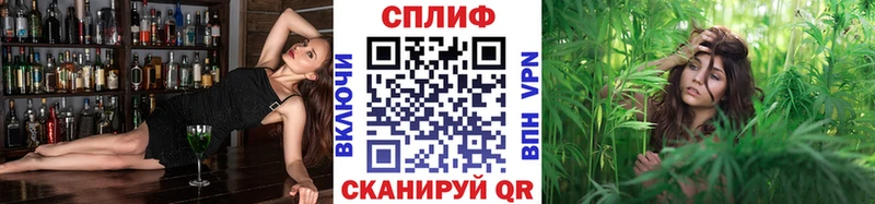 Бошки марихуана планчик  Луза 